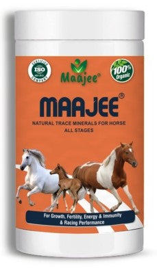 Maajee Nutritious Supplement Powder for Horse 908 grams (Offer)