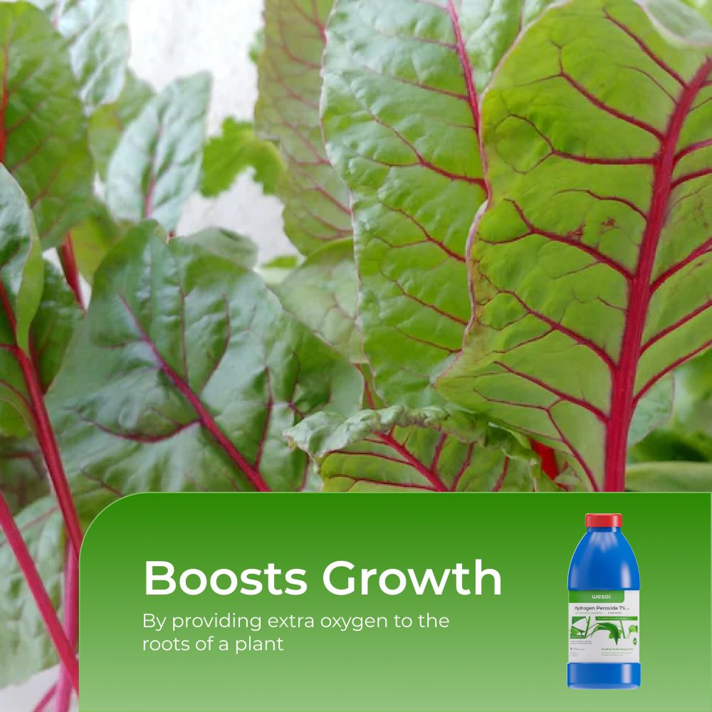 Wesol Hydrogen Peroxide 7.6% w/w for Plants - 1 litre