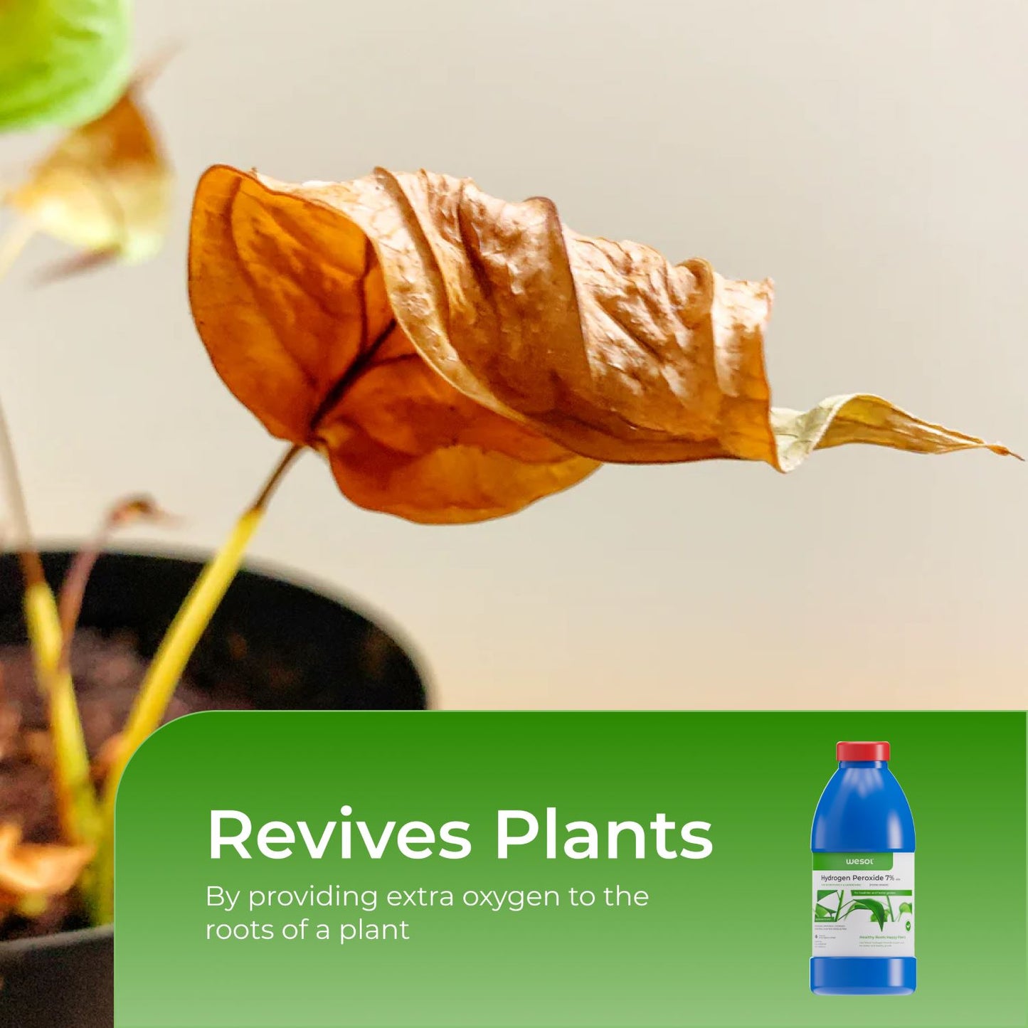 Wesol Hydrogen Peroxide 7.6% w/w for Plants - 1 litre