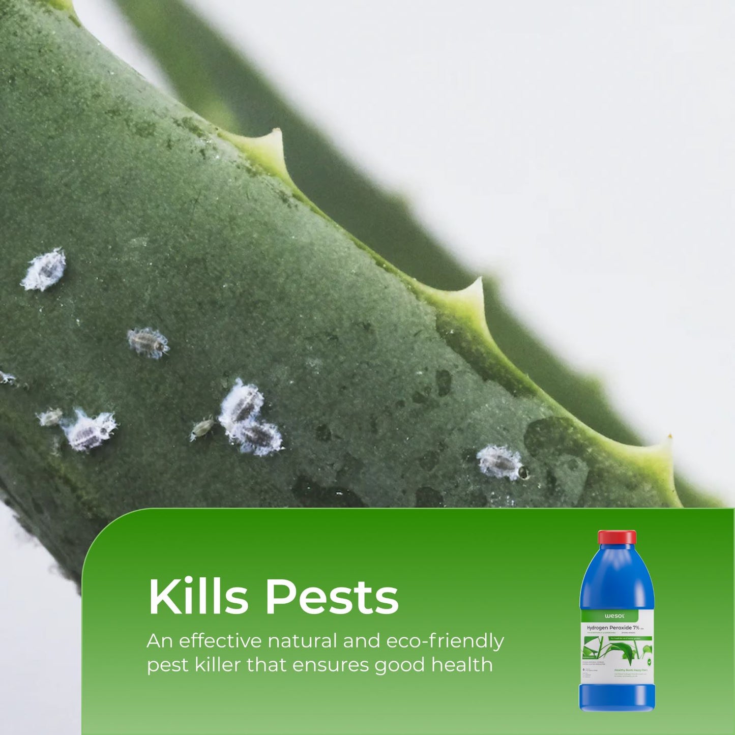 Wesol Hydrogen Peroxide 7.6% w/w for Plants - 1 litre