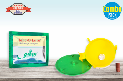 Combo Pack of Funnel Pheromone Trap + Helic - o Pheromone Lure