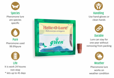 Helic - o - Lure / Helicoverpa Armigera Pheromone Lure