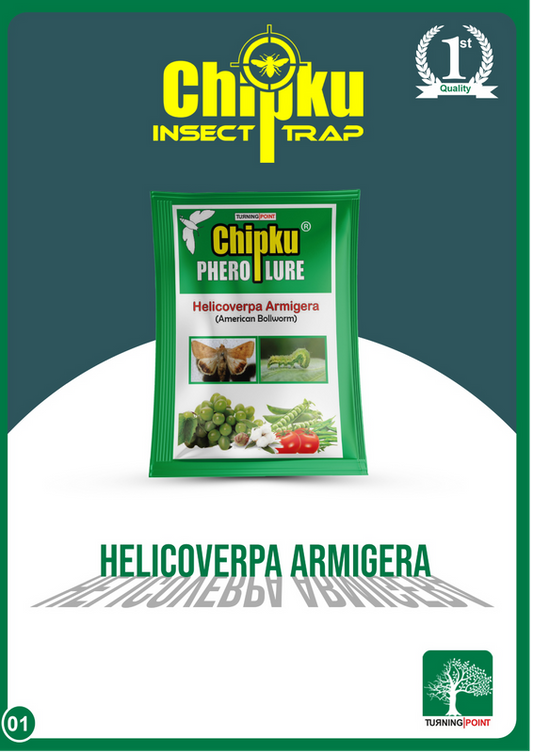 Chipku Helicoverpa Lure