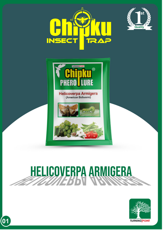 Chipku Pheromone Funnel Trap with Helicoverpa Lure Pack of 10