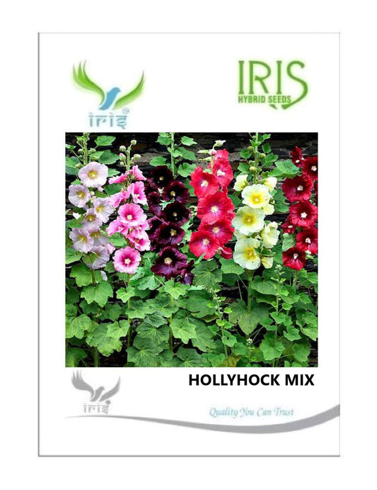 Iris Imported Hollyhock Mix 15 Seeds