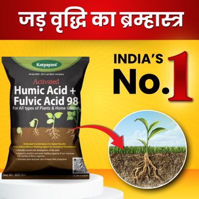 Katyayani Activated Humic Acid + Fulvic Acid 98%
