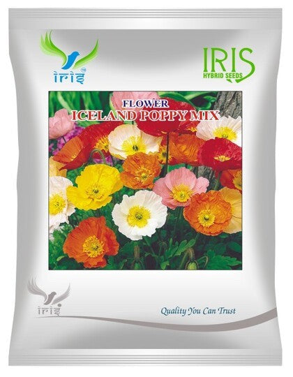 Iris Imported OP Iceland Poppy Mix 300+ Seeds