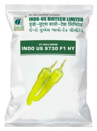 Chilli / Hot Pepper F1 Indo US 9730
