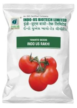 Tomato Indo US Rakhi (OP)