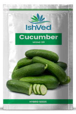 Cucumber / Kakri IVCUH-301 50 grams