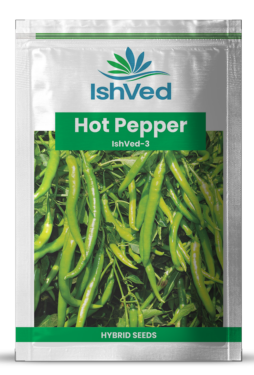 Chilli / Hot Pepper IVHPH-3