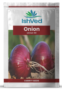 Onion IVONL-351