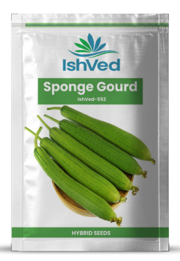 SpongeGourd / Galki IVSGH-552 50 grams