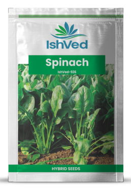 Spinach / Palak IVSPN-926 500 grams