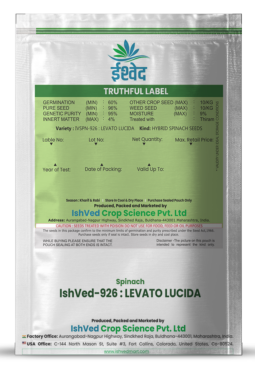 Spinach / Palak IVSPN-926 500 grams
