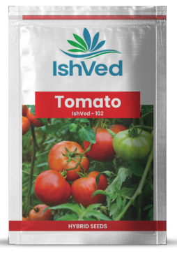 Tomato IVTMH-102 10 grams