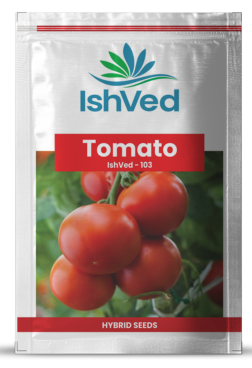 Tomato IVTMH-103 10 grams