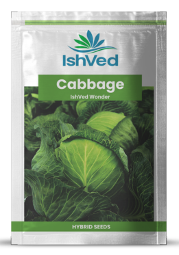 Cabbage / Patta Gobi IVTMP-04 10 grams