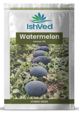 Watermelon IVWMH-751 50 grams