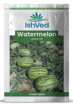 Watermelon IVWMH-752 50 grams