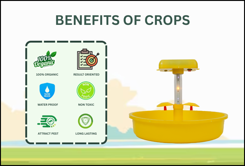 Wavar Jadugar (Mini Solar Light Trap)