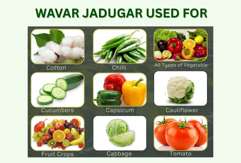 Wavar Jadugar (Mini Solar Light Trap)