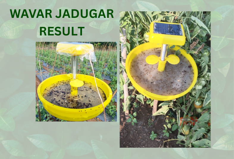 Wavar Jadugar (Mini Solar Light Trap)