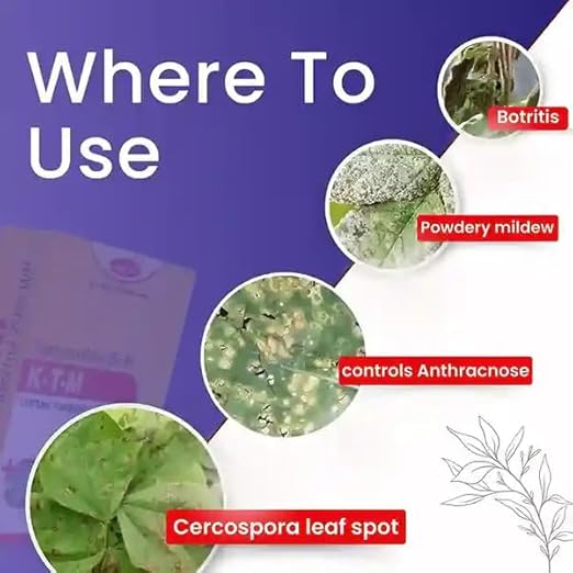 Katyayani K-T-M - Thiophanate Methyl 70% WP