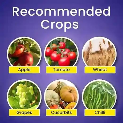 Katyayani K-T-M - Thiophanate Methyl 70% WP