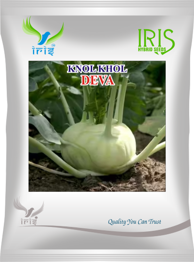 Knol Knol Iris Deva 10 grams