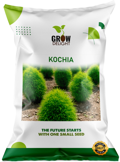 Grow Delight Imported Kochia - 300 seeds