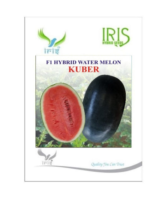 Watermelon F1 Iris Kuber (Sugar Baby Type)