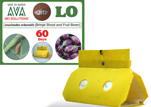 Ava Combo Pack of Delta Trap + LO Lure