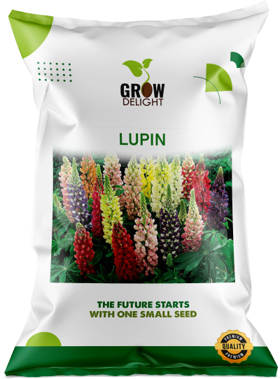Grow Delight Imported Lupin