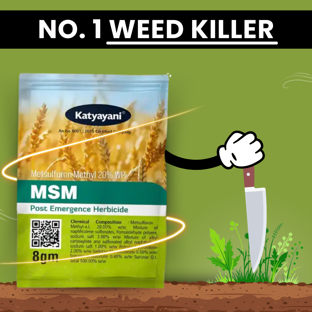 Katyayani MSM - Metsulfuron Methyl 20% WP | Herbicide