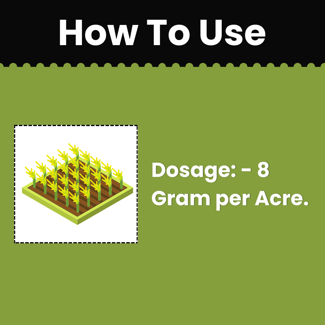 Katyayani MSM - Metsulfuron Methyl 20% WP | Herbicide