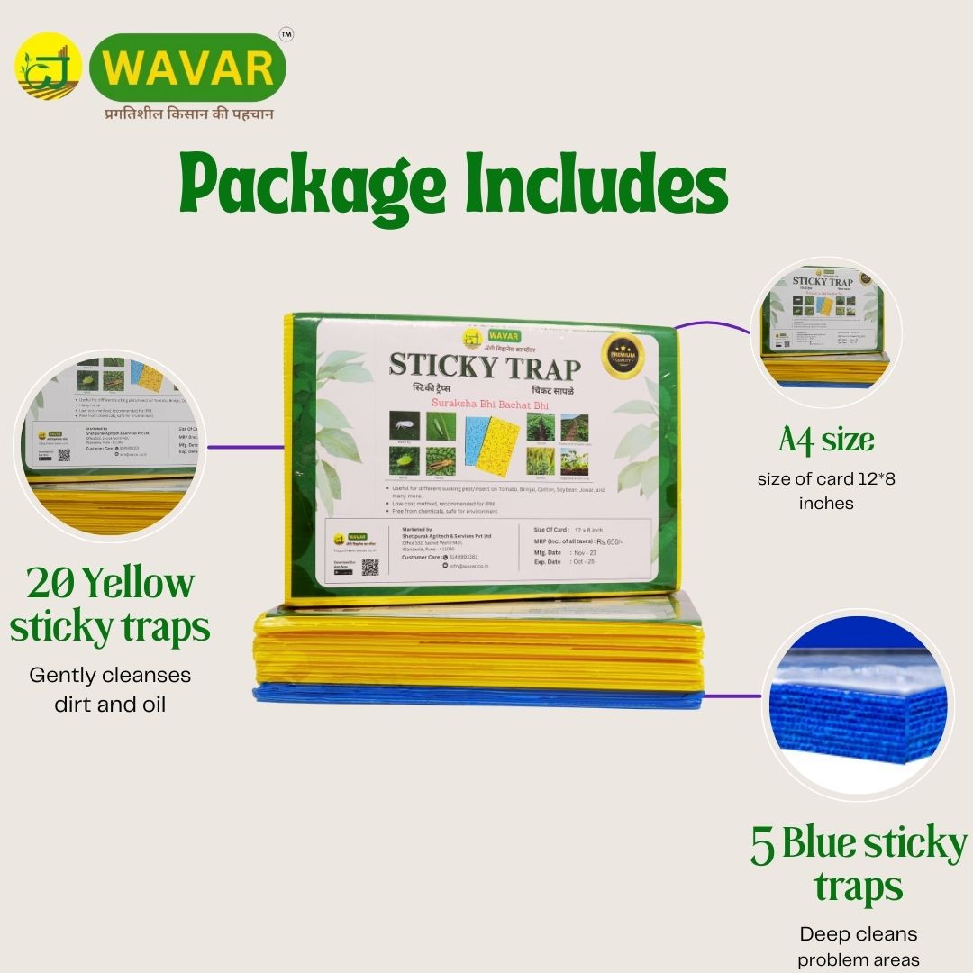 Wavar Yellow & Blue insect Sticky Trap to catch white flies, aphids, jassids, 25 sheet in one bundle