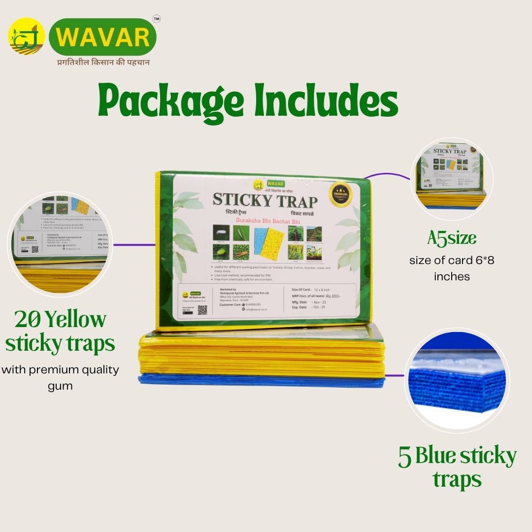 Wavar Yellow & Blue insect Sticky Trap to catch white flies, aphids, jassids, 25 sheet in one bundle