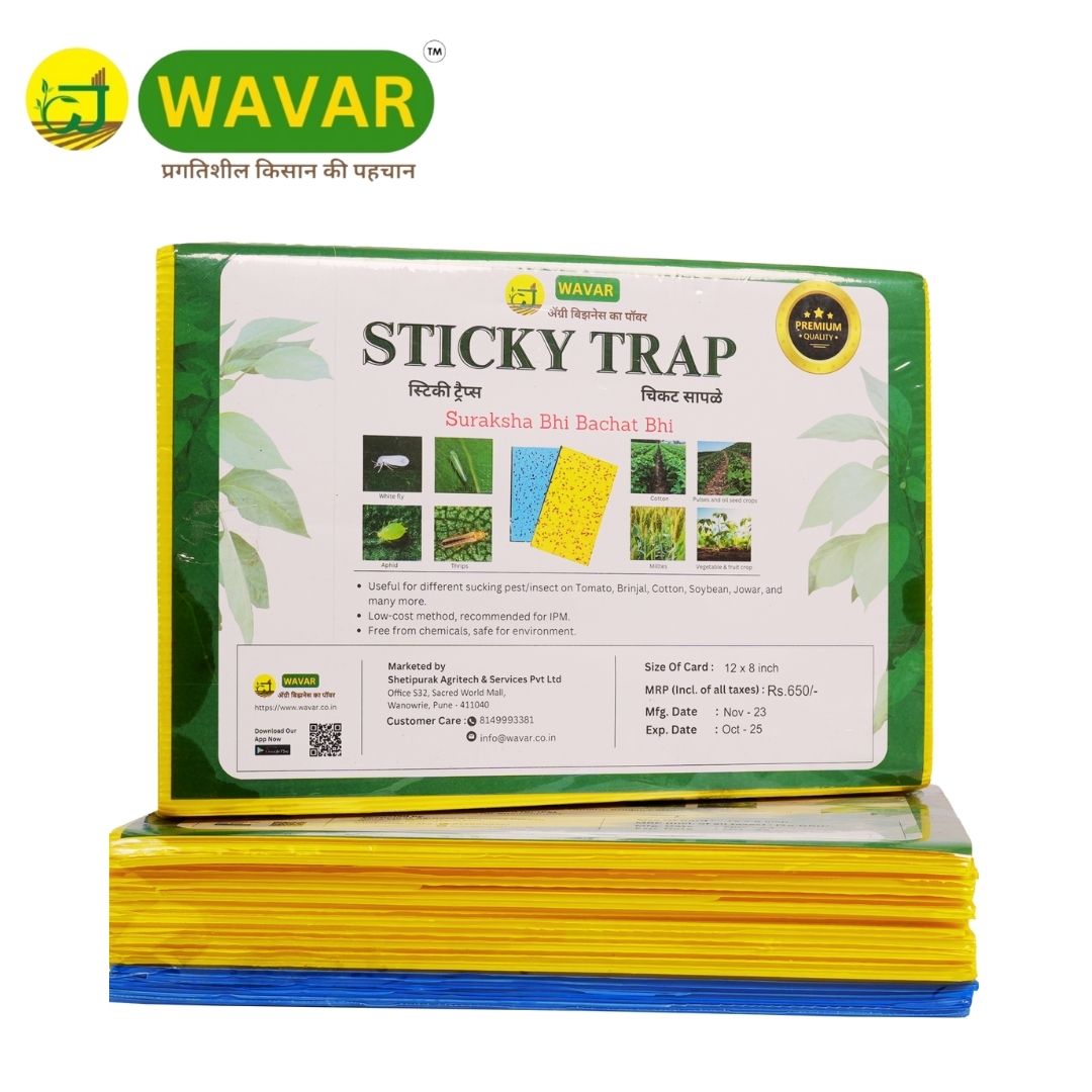Wavar Yellow & Blue insect Sticky Trap to catch white flies, aphids, jassids, 25 sheet in one bundle