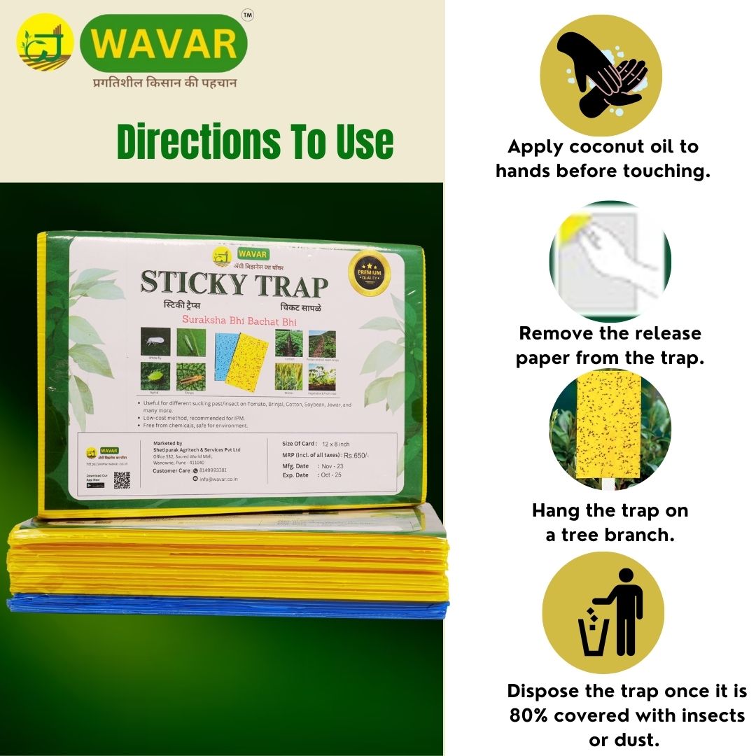 Wavar Yellow & Blue insect Sticky Trap to catch white flies, aphids, jassids, 25 sheet in one bundle