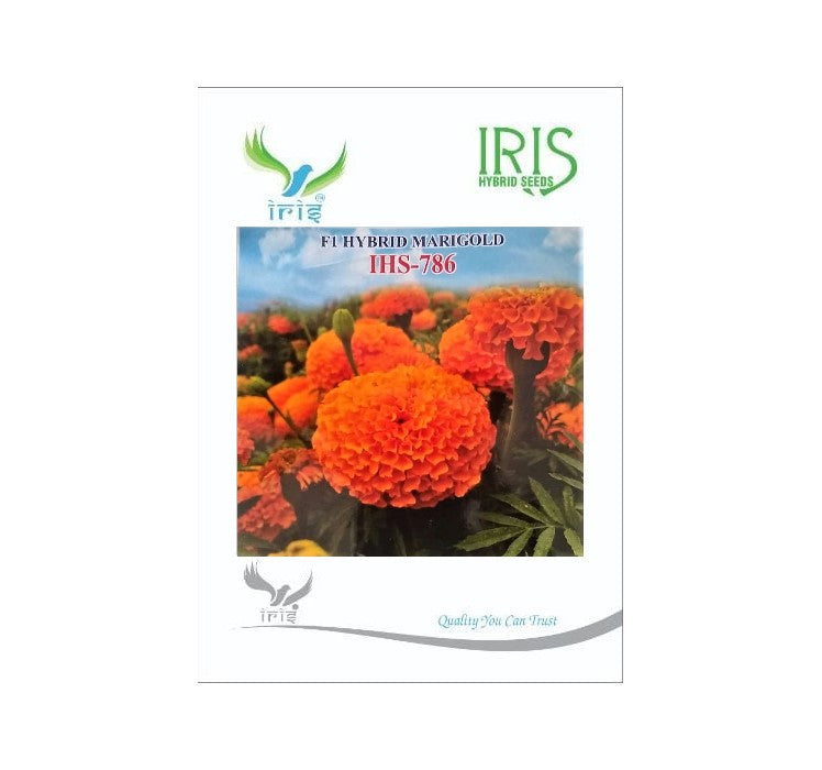 Marigold Orange Iris F1 IHS-786 - 1000 seeds