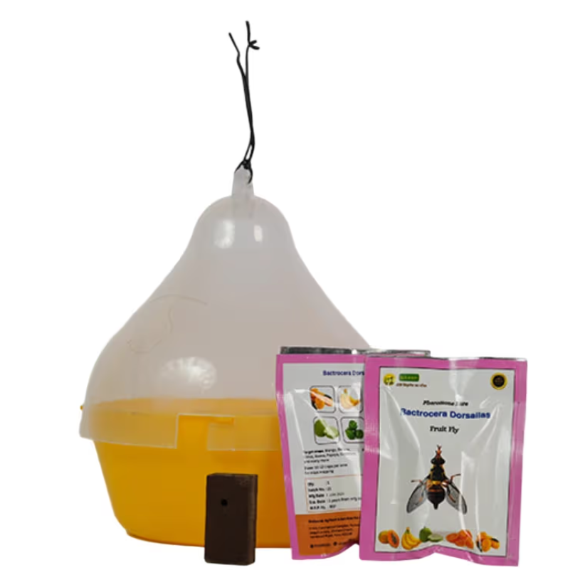 Wavar Macphil Trap with Bactrocera Dorsalis Lure
