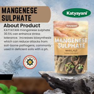 Katyayani Mangenese Sulphate