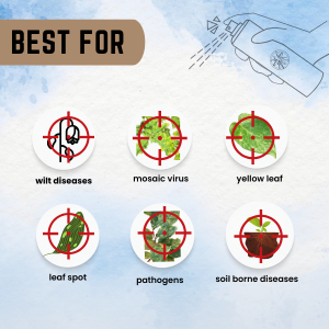 Katyayani Mangenese Sulphate