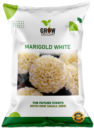 Grow Delight Imported Marigold White - 200 seeds