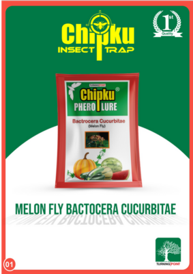 Chipku Melon Fly Lure