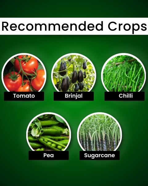 Katyayani Metarhizium Anisopliae Bio Pesticide