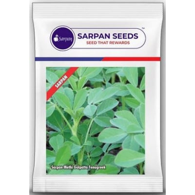 Fenugreek / Methi Sarpan Golpatta
