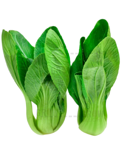 Grow Delight Imported Pak Choi Mighty Green-77