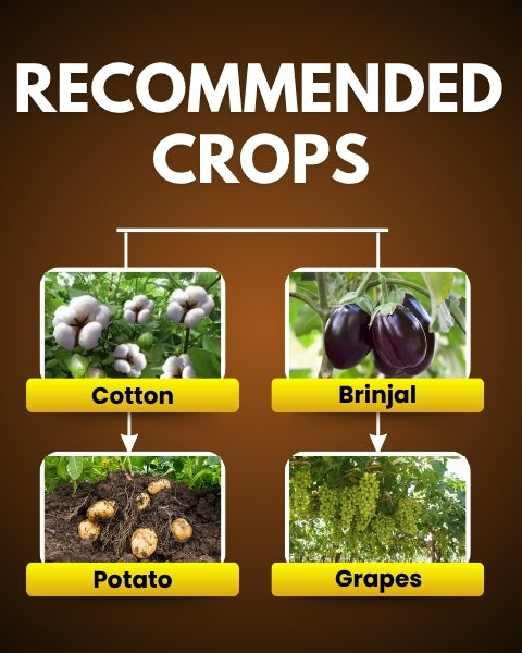 Katyayani MIKOCHIN - Chlormequat Chloride 50% SL